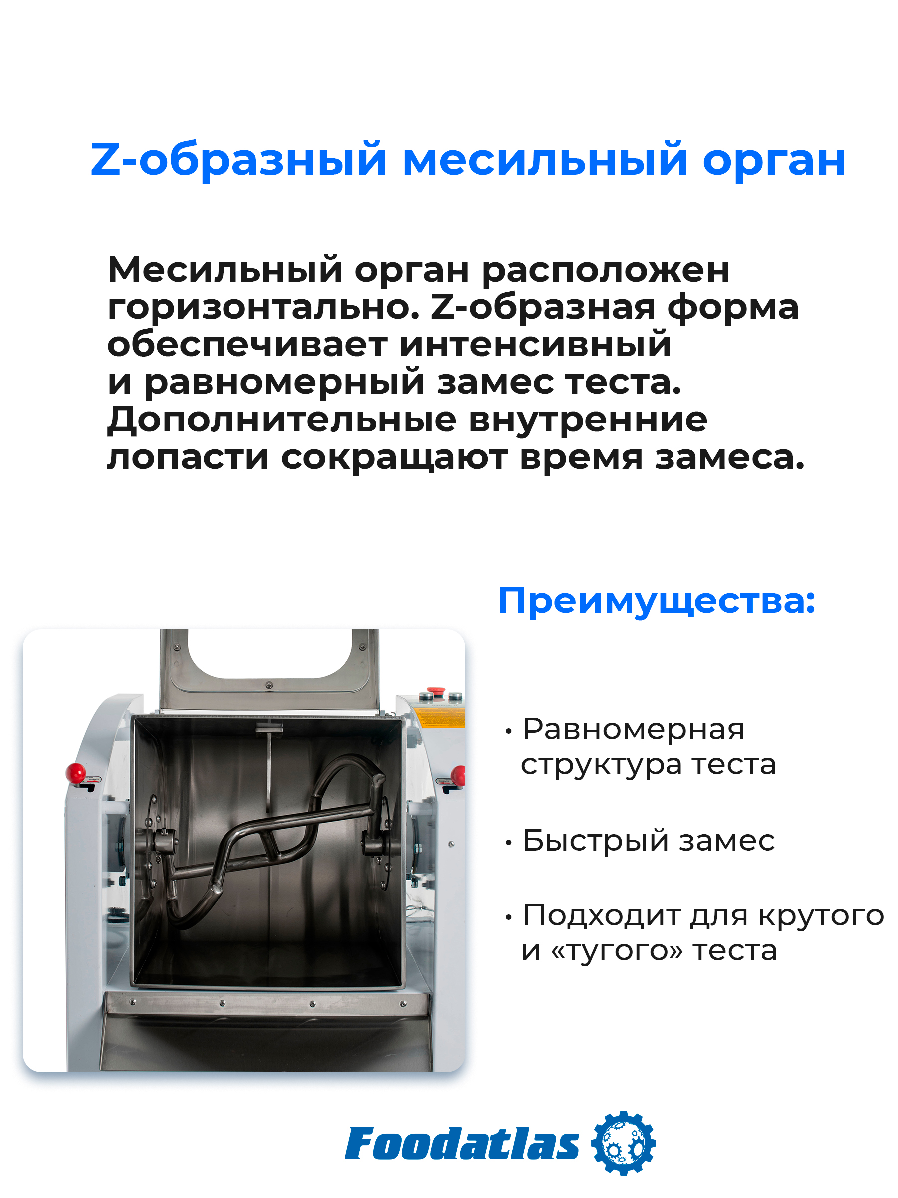 Slayd_6_WHM_H_-25.jpg