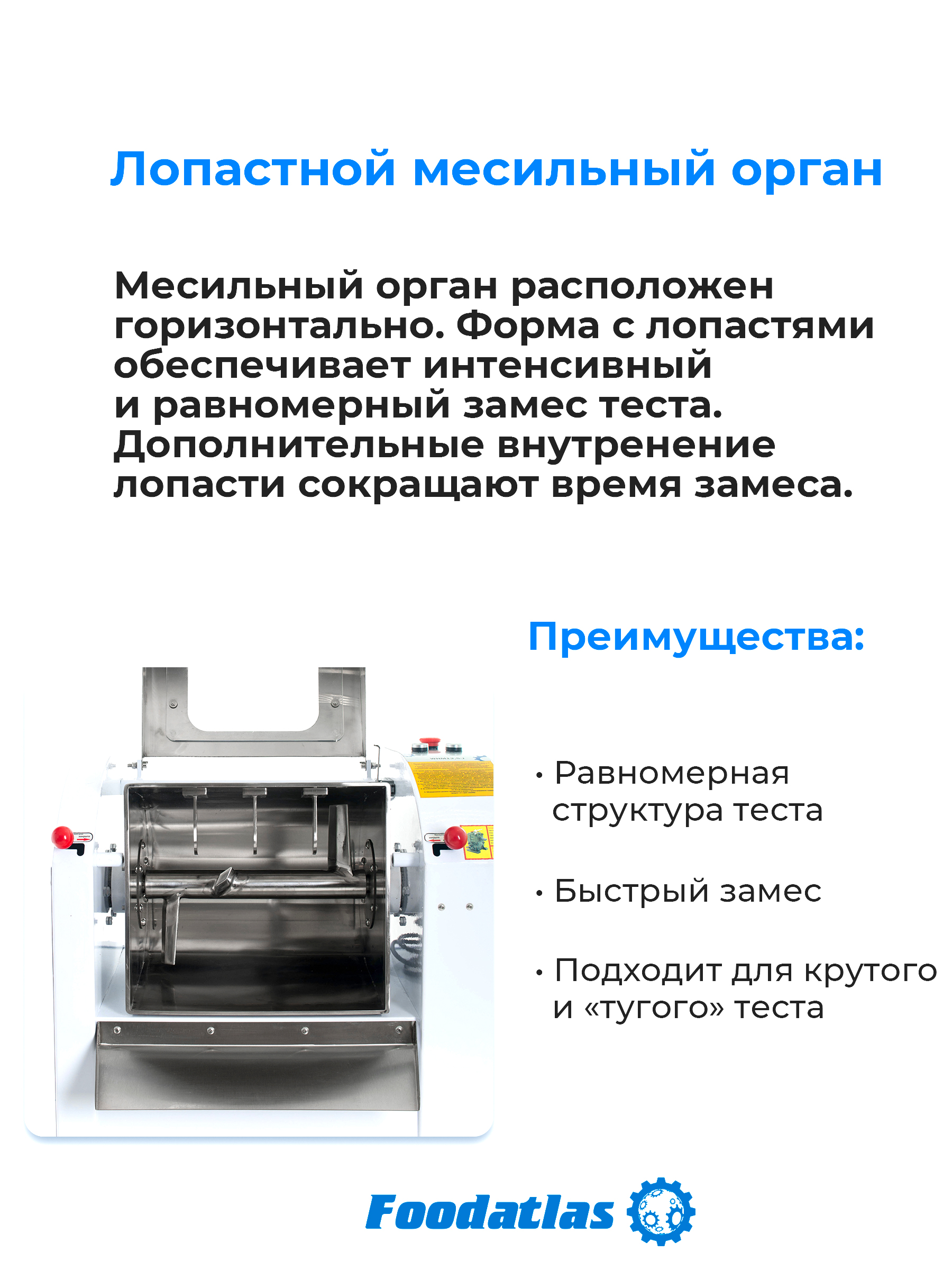 Slayd_6_WHM_H_-12.5.jpg