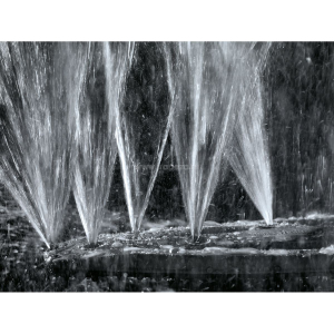 67640_6.jpg