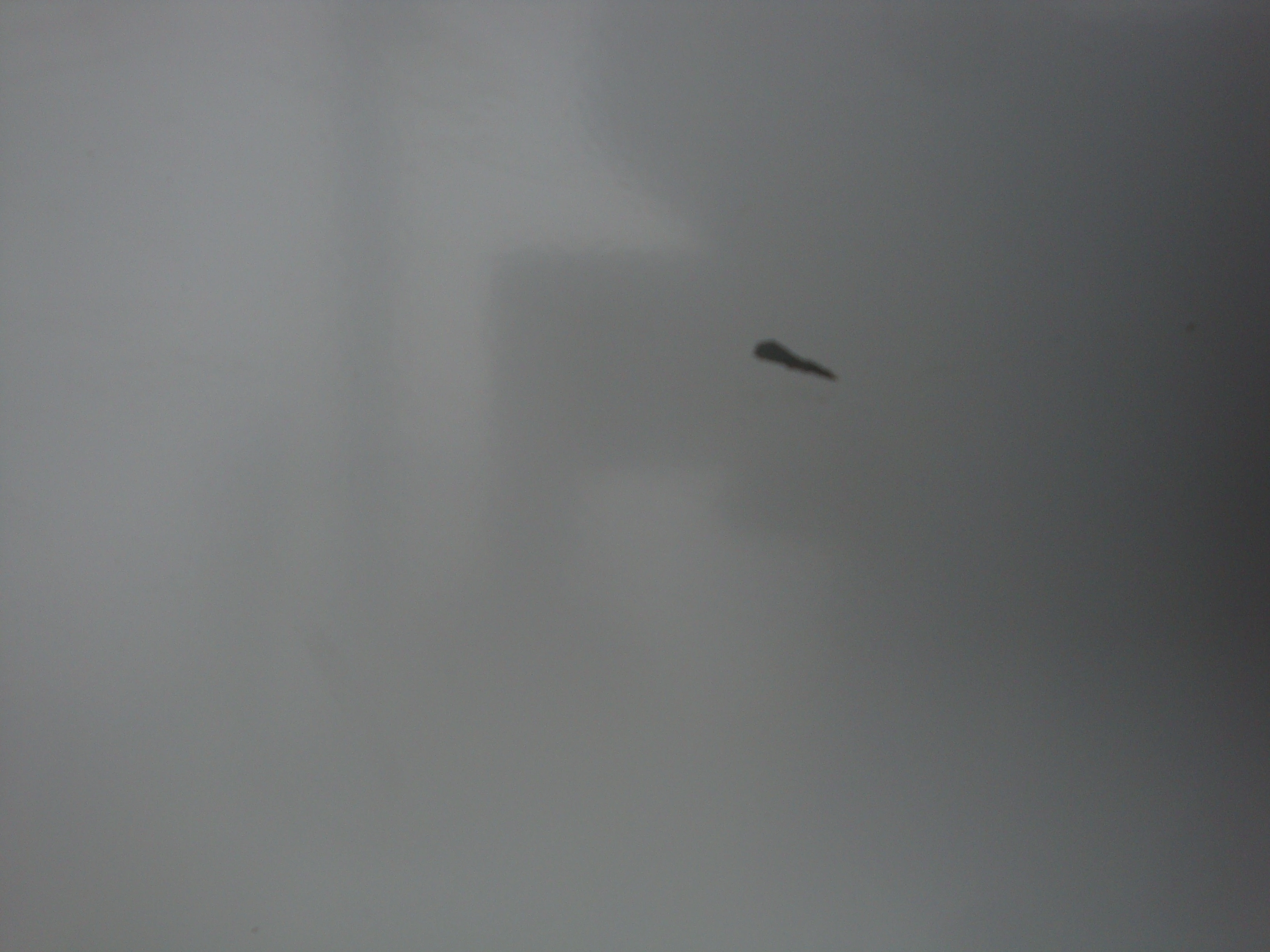 rg9Khm0u0aDk6vdppgIOn2kbwlpYPxAk8twJRsNJ.webp