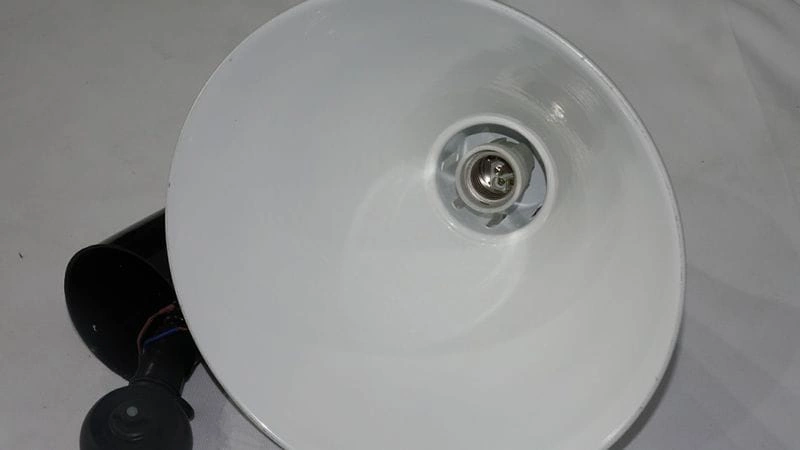 451euvwnxwhm2o2xk0l5qihr020gr8l9.webp