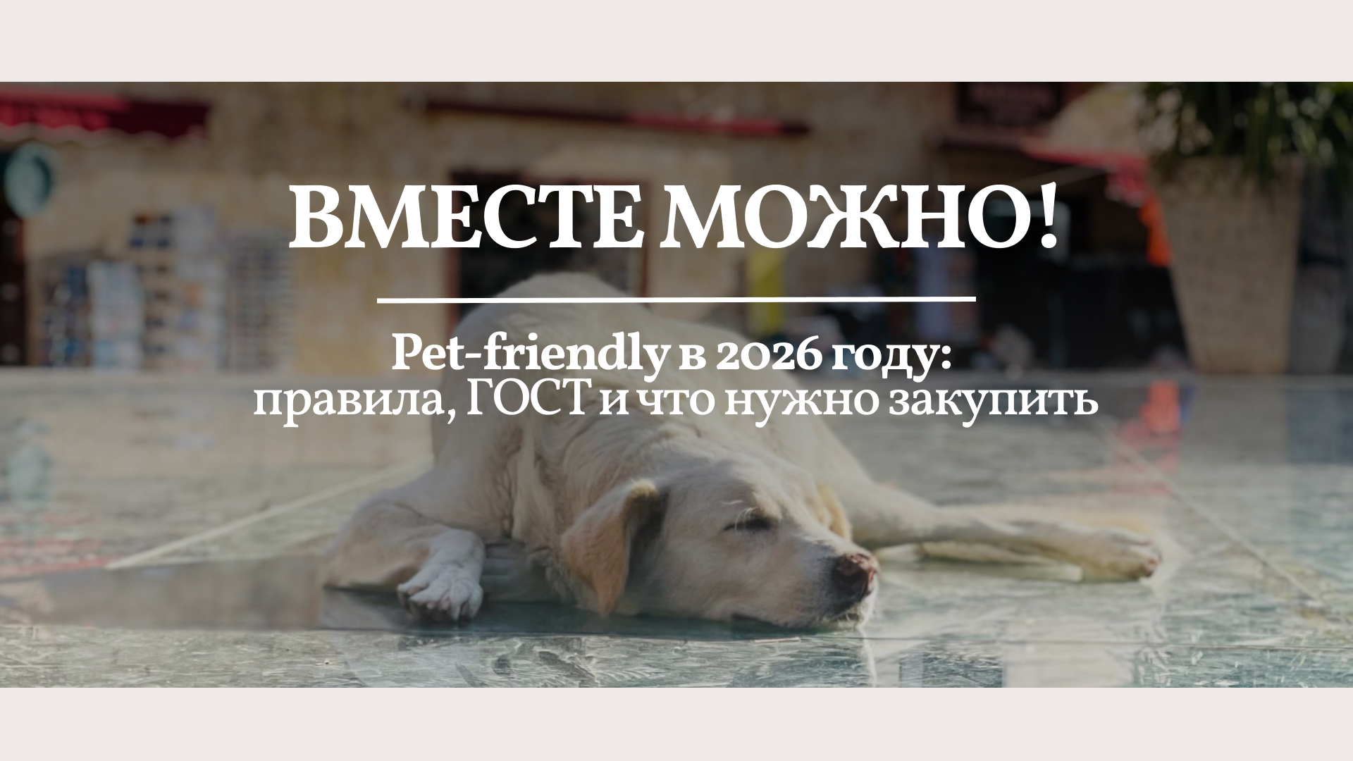 журнал